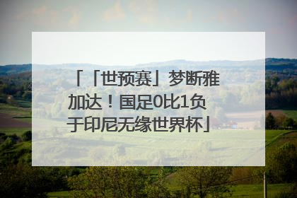 「世预赛」梦断雅加达！国足0比1负于印尼无缘世界杯