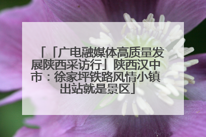 「广电融媒体高质量发展陕西采访行」陕西汉中市：徐家坪铁路风情小镇 出站就是景区