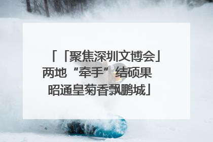 「聚焦深圳文博会」两地“牵手”结硕果 昭通皇菊香飘鹏城