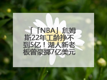 「NBA」詹姆斯22年工龄挣不到5亿！湖人新老板曾豪掷7亿美元签球员