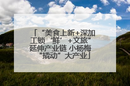 “美食上新+深加工锁‘鲜’+文旅”延伸产业链 小杨梅“撬动”大产业