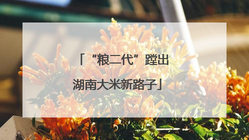 “粮二代”蹚出湖南大米新路子