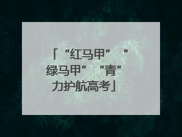 “红马甲”“绿马甲”“青”力护航高考