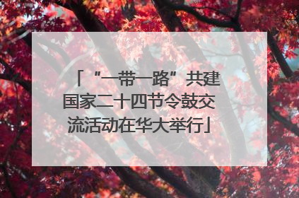 “一带一路”共建国家二十四节令鼓交流活动在华大举行
