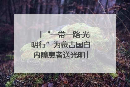 “一带一路·光明行”为蒙古国白内障患者送光明