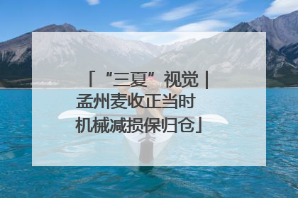 “三夏”视觉｜孟州麦收正当时 机械减损保归仓