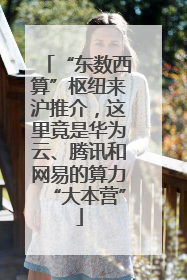 “东数西算”枢纽来沪推介，这里竟是华为云、腾讯和网易的算力“大本营”