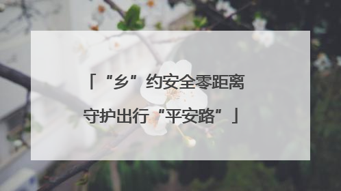 “乡”约安全零距离 守护出行“平安路”