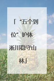 “五个到位”护体 淅川稳守山林