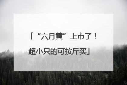 “六月黄”上市了！超小只的可按斤买