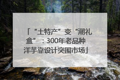 “土特产”变“潮礼盒”：300年老品种洋芋靠设计突围市场
