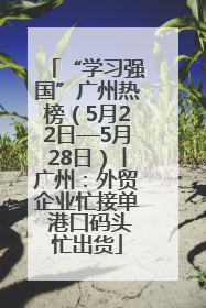 “学习强国”广州热榜(5月22日—5月28日)丨广州:外贸企业忙接单 港口码头忙出货