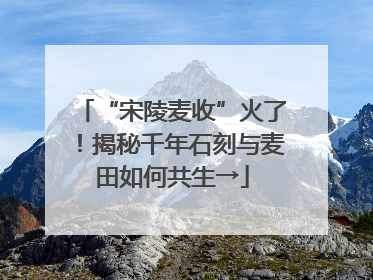 “宋陵麦收”火了！揭秘千年石刻与麦田如何共生→
