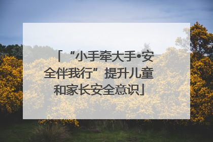 “小手牵大手•安全伴我行”提升儿童和家长安全意识