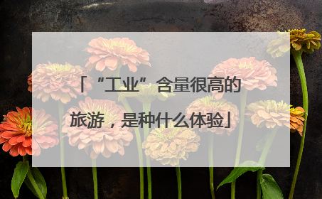 “工业”含量很高的旅游，是种什么体验