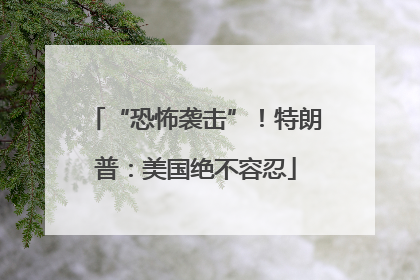 “恐怖袭击”！特朗普：美国绝不容忍