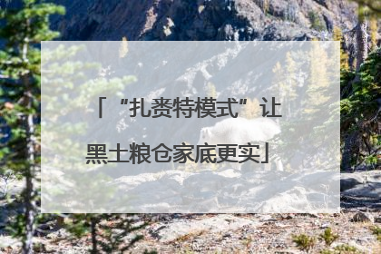“扎赉特模式”让黑土粮仓家底更实