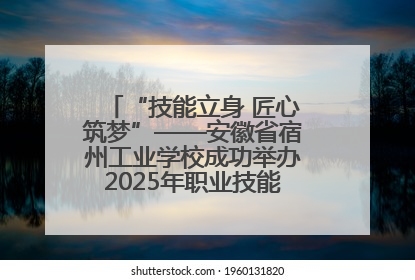 “技能立身 匠心筑梦”——安徽省宿州工业学校成功举办2025年职业技能活动周各项活动