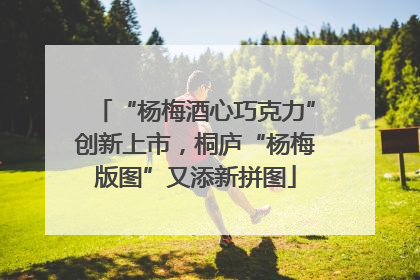 “杨梅酒心巧克力”创新上市，桐庐“杨梅版图”又添新拼图
