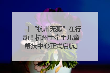 “杭州无孤”在行动！杭州手牵手儿童帮扶中心正式启航