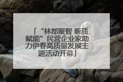 “林都聚智 新质赋能”民营企业家助力伊春高质量发展主题活动开幕