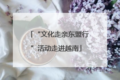 “文化走亲东盟行”活动走进越南