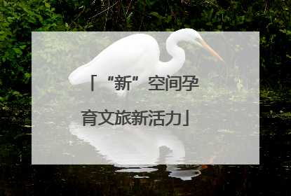 “新”空间孕育文旅新活力