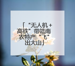 “无人机＋高铁”带赣南农特产“飞”出大山