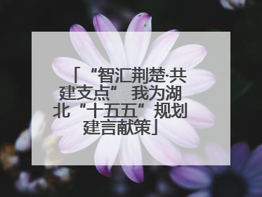 “智汇荆楚·共建支点” 我为湖北“十五五”规划建言献策