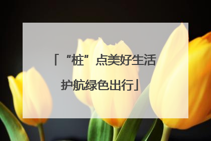 “桩”点美好生活 护航绿色出行