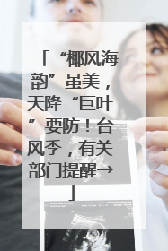 “椰风海韵”虽美，天降“巨叶”要防！台风季，有关部门提醒→