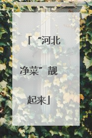 “河北净菜”靓起来