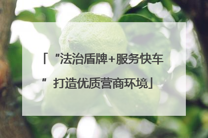 “法治盾牌+服务快车”打造优质营商环境