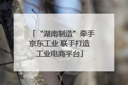 “湖南制造”牵手京东工业 联手打造工业电商平台