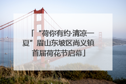 “荷你有约·清凉一夏”眉山东坡区尚义镇首届荷花节启幕