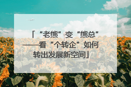“老熊”变“熊总”——看“个转企”如何转出发展新空间