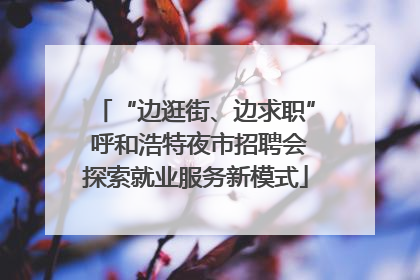 “边逛街、边求职” 呼和浩特夜市招聘会探索就业服务新模式