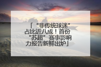 “非传统球迷”占比近八成！首份“苏超”赛事影响力报告新鲜出炉