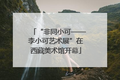“非同小可——李小可艺术展”在西藏美术馆开幕