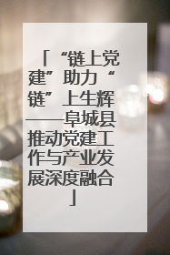 “链上党建”助力“链”上生辉——阜城县推动党建工作与产业发展深度融合