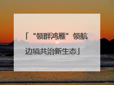 “领群鸿雁”领航边境共治新生态