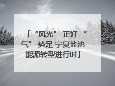 “风光” 正好 “气” 势足 宁夏盐池能源转型进行时