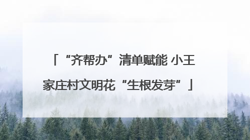 “齐帮办”清单赋能 小王家庄村文明花“生根发芽”
