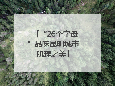 “26个字母”品味昆明城市肌理之美