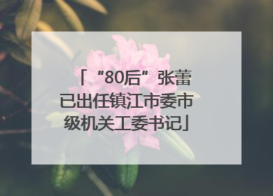“80后”张蕾已出任镇江市委市级机关工委书记