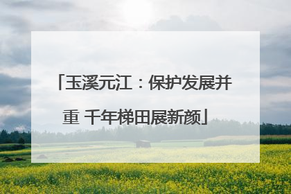 玉溪元江：保护发展并重 千年梯田展新颜