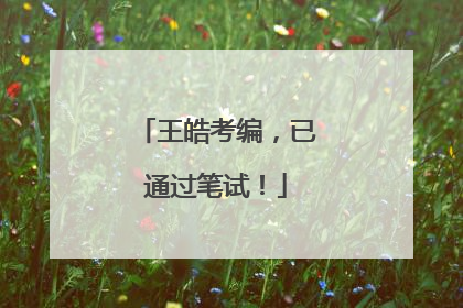 王皓考编，已通过笔试！