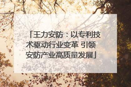 王力安防：以专利技术驱动行业变革 引领安防产业高质量发展