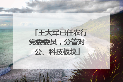 王大军已任农行党委委员，分管对公、科技板块
