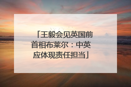 王毅会见英国前首相布莱尔：中英应体现责任担当